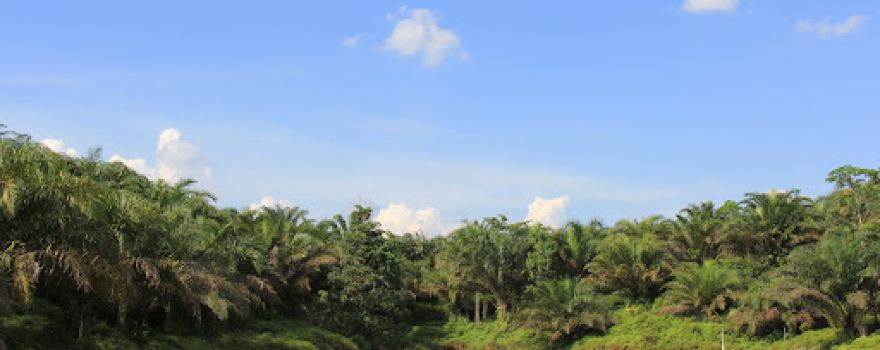 Pusat Latihan Gajah Minas Riau