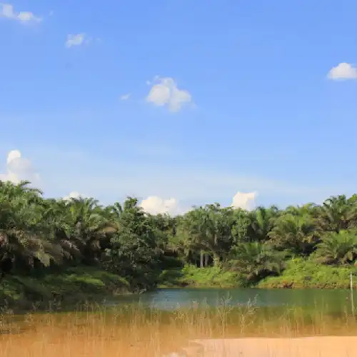 Pusat Latihan Gajah Minas Riau