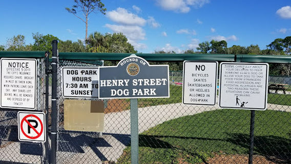 Hounds of Henry