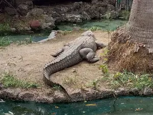 Herpetario