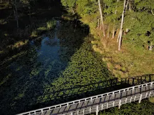 Turkey Creek Water Park Lake
