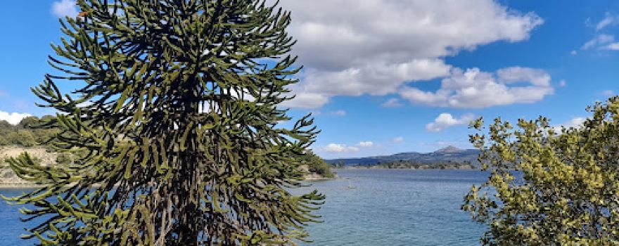 Paseo de La Costa