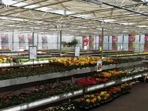 Flowers Möbius GmbH