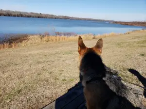 Tenn-Tom Waterway Walking Trail