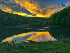 Harrison-Crawford State Forest
