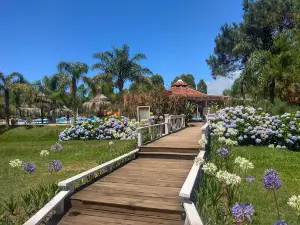 Camping Punta del Diablo