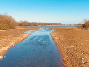 Étang de la Rincerie