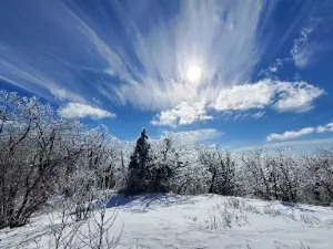 Wachusett Mt. Summit Princeton MA