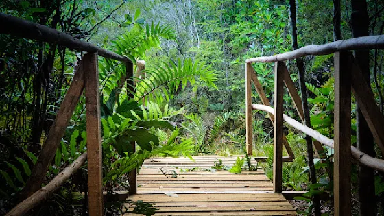 Insectos Ishiku Lemu Park