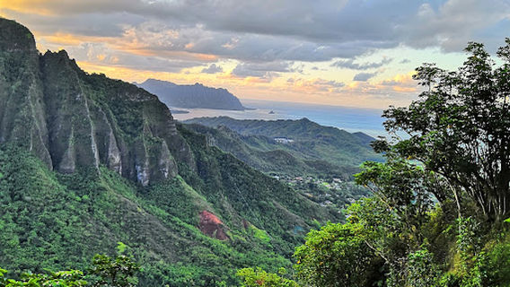 Kāne‘Ohe Forest Reserve
