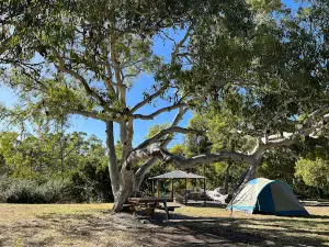 Camp Nyroca