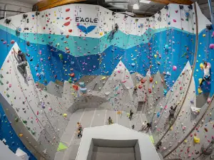Eagle Climbing + Fitness