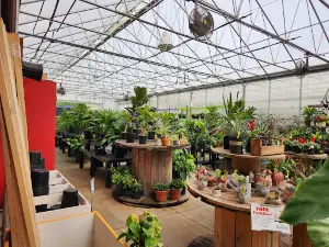 Dayton Nurseries, Inc.
