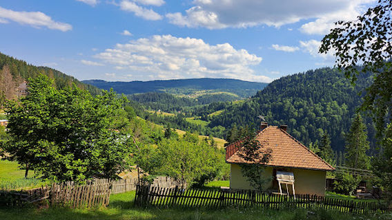 Zlatar Planina