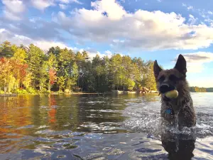 Sheepscot Pond