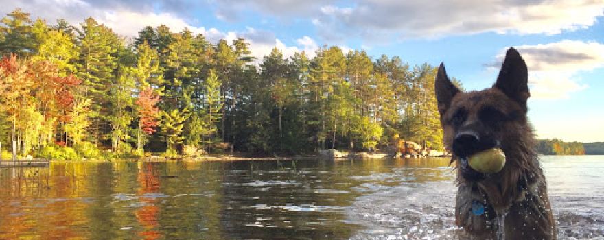 Sheepscot Pond
