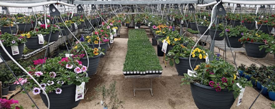 GGG Greenhouses And Garden Center