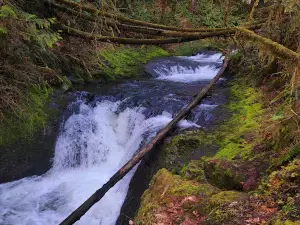 Porter Creek Campground