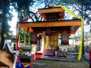 Park, Open Space Gym