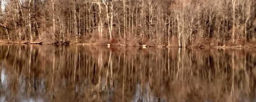 Coldwater Lake State Park