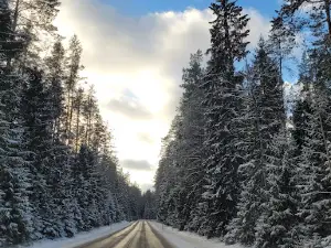 Kazlų Rūdos miesto parkas