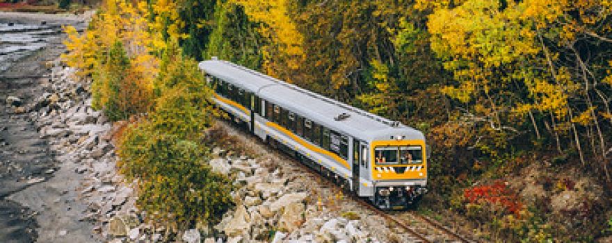 Charlevoix Train