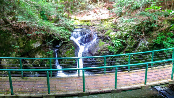 Kyoto Prefectural Rurikei Natural Park