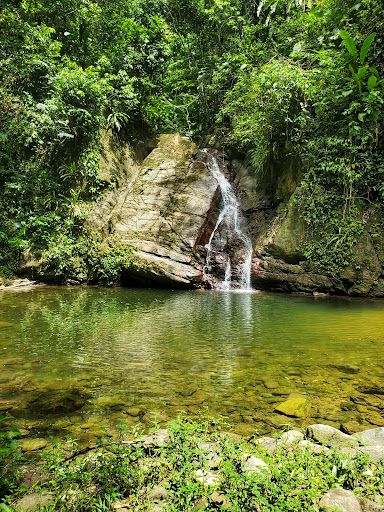 Castara Waterfall