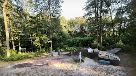 Moose from Dłutowskiego Forest