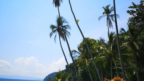 Puerto Jiménez