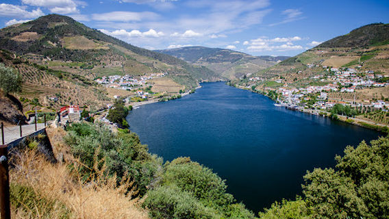 Peso Da Regua