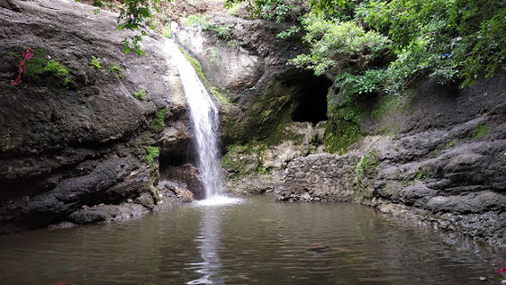 Yedshi Wildlife Sanctuary