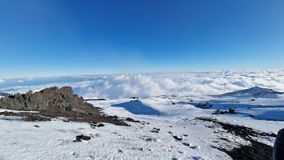 Torre Del Philosopher
