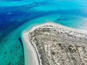 Skeleton Beach