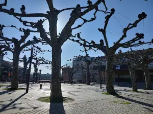 Campo da Feira