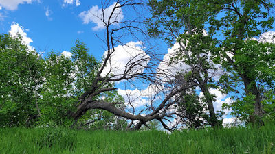 Walker's Point Recreation Area