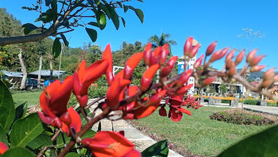 Taman Kartini-Bajawa