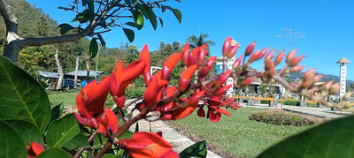 Taman Kartini-Bajawa