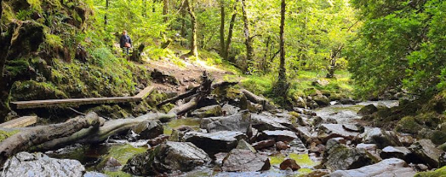 Grey Mares Tail Waterfall