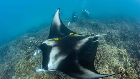 Bora Diving Center