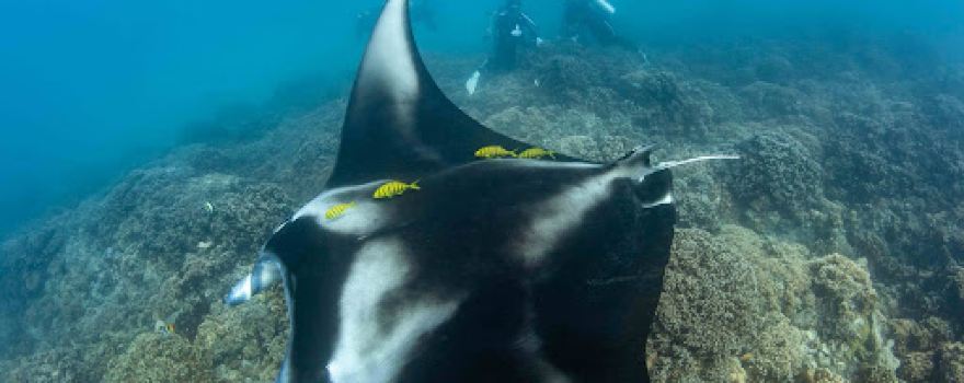 Bora Diving Center