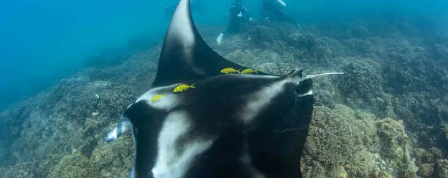 Bora Diving Center