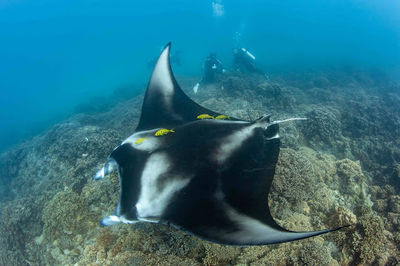 Eleuthera Bora Diving Center