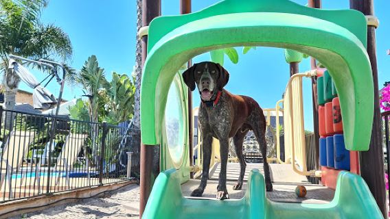 Adult Only & Pet Friendly Prime Tourist Park