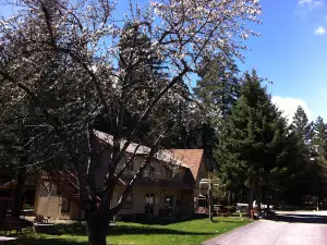 Mount Shasta City KOA Holiday
