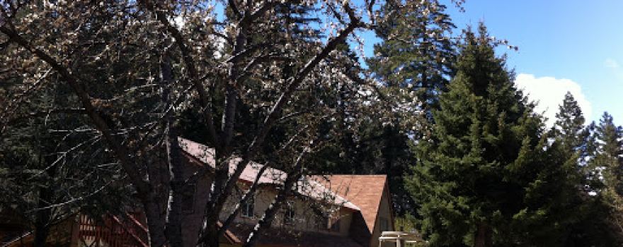 Mount Shasta City KOA Holiday