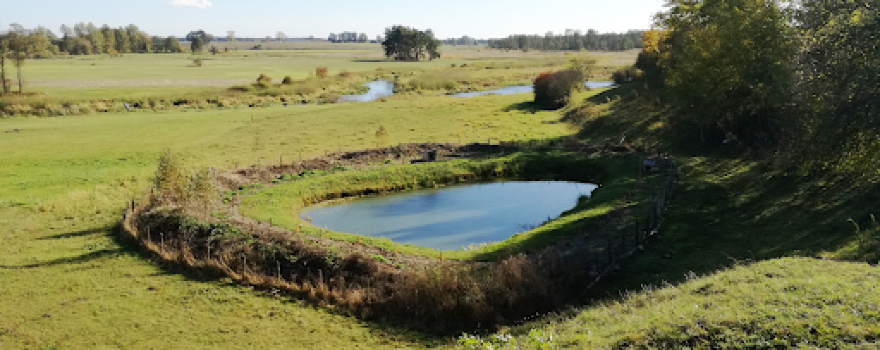 Grodzisko w Grodzisku nad Liwcem
