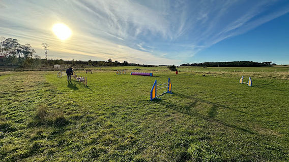 Harry's Hideout - Secure Dog Field