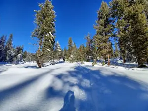 Whoop Um Up Equestrian Campground