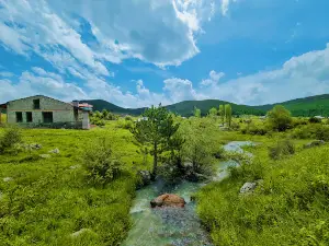 Eğriova Yaylası